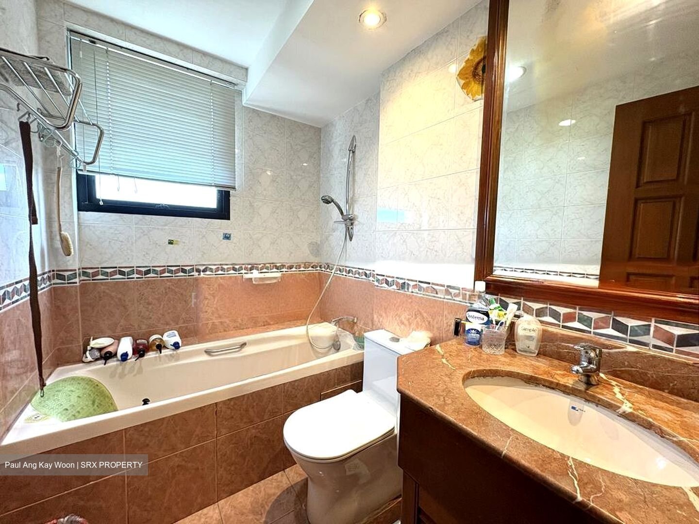 Simsville (D14), Condominium #502210431